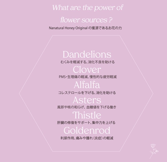 Cinnamon Apple Honey 340g Nanatural honey original ARIA HONEY SHOP