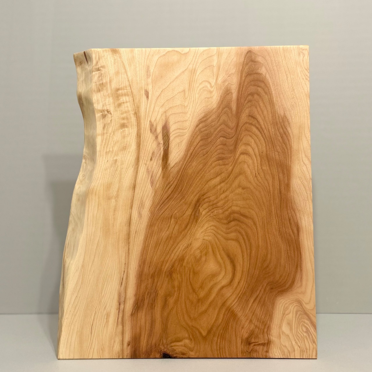 木の結婚証明書｜カバ｜No.817