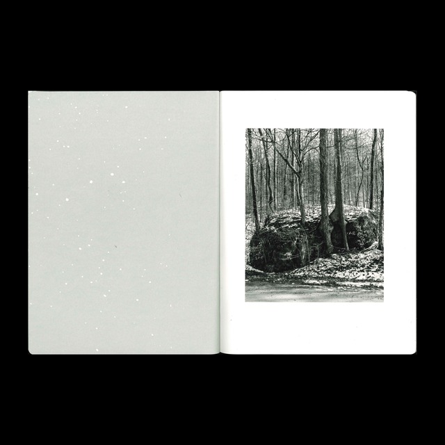 Vanessa Winship: SNOW