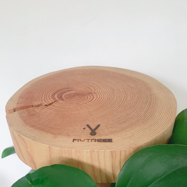 マイツリーボード  杉　直径23cm　厚さ4.5cm　NO.3