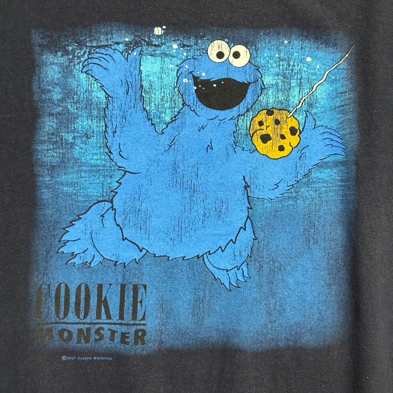 00s COOKIE MONSTER