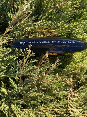 ペトリキフカ塗り　サングラス/眼鏡ケース（ホメンコ作）