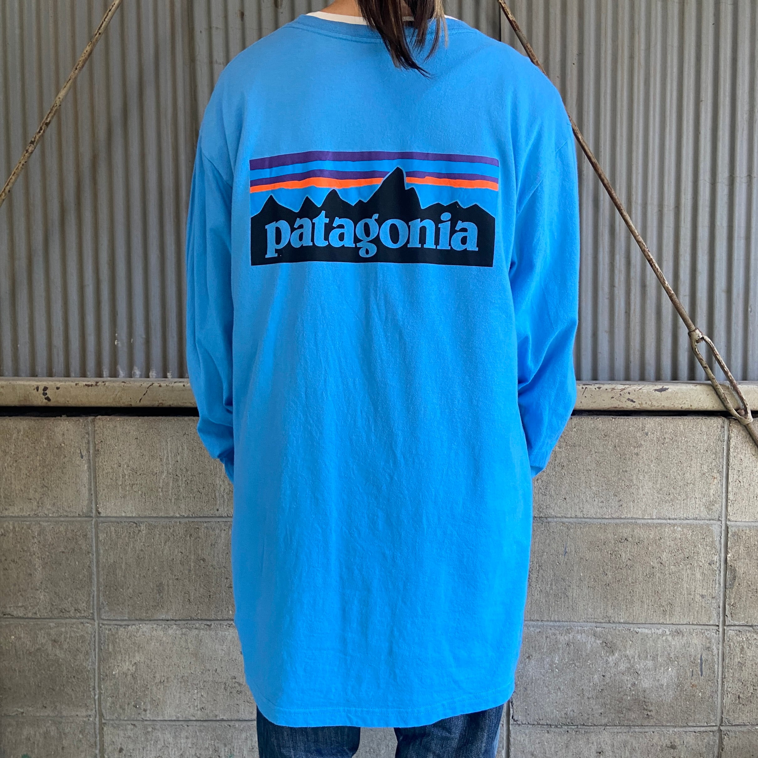 patagonia パタゴニア ロンT