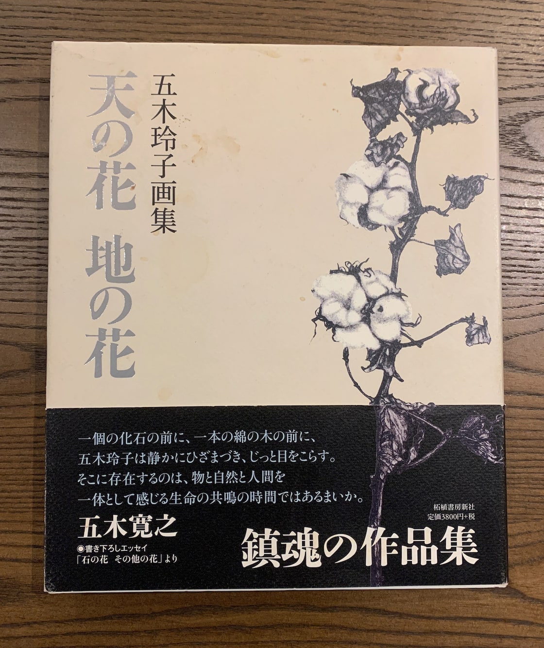 天の花 地の花 五木玲子画集 | Pay ID