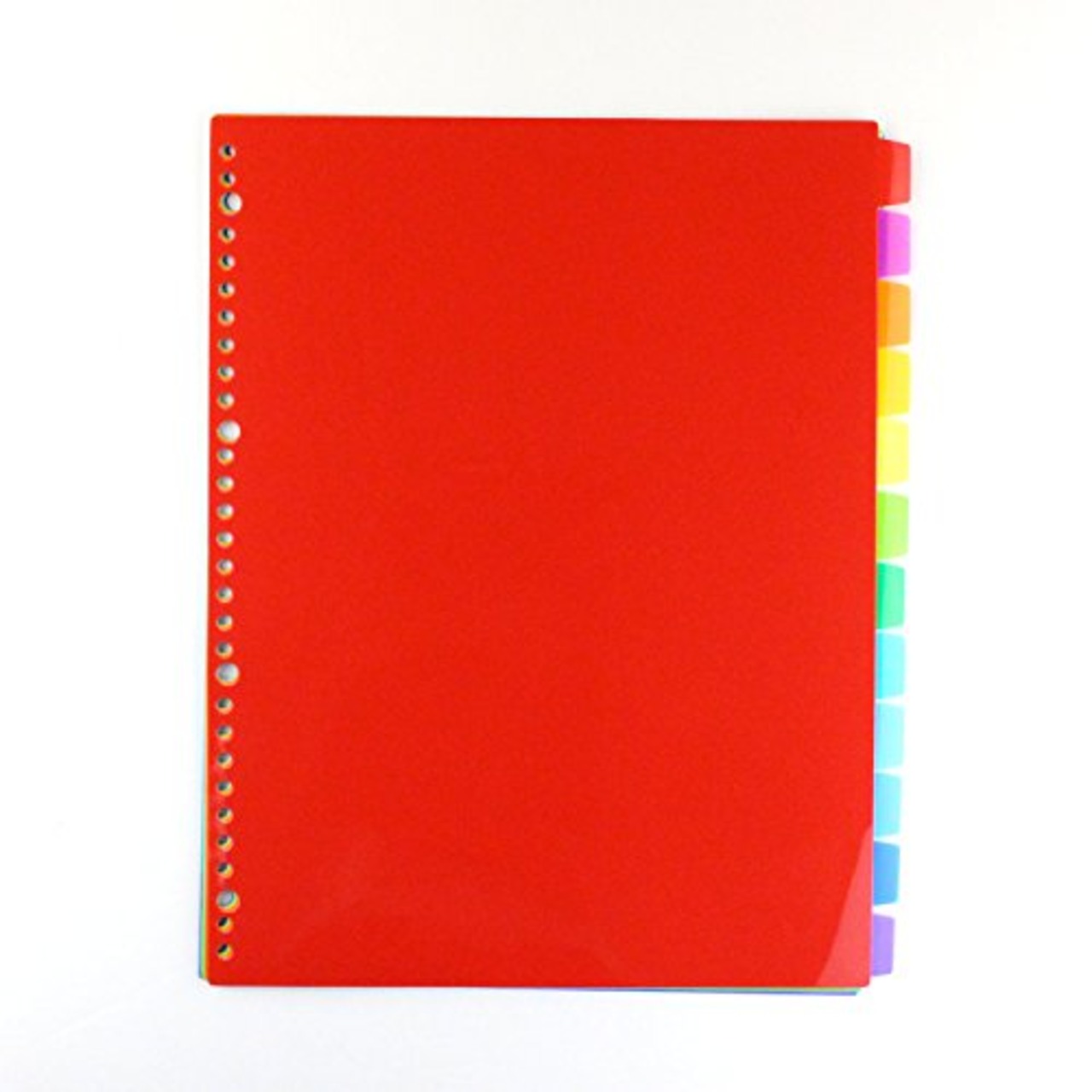 テージー カラーインデックスPP IN-3412 A4 30穴 12山(12色)