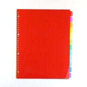 テージー カラーインデックスPP IN-3412 A4 30穴 12山(12色)