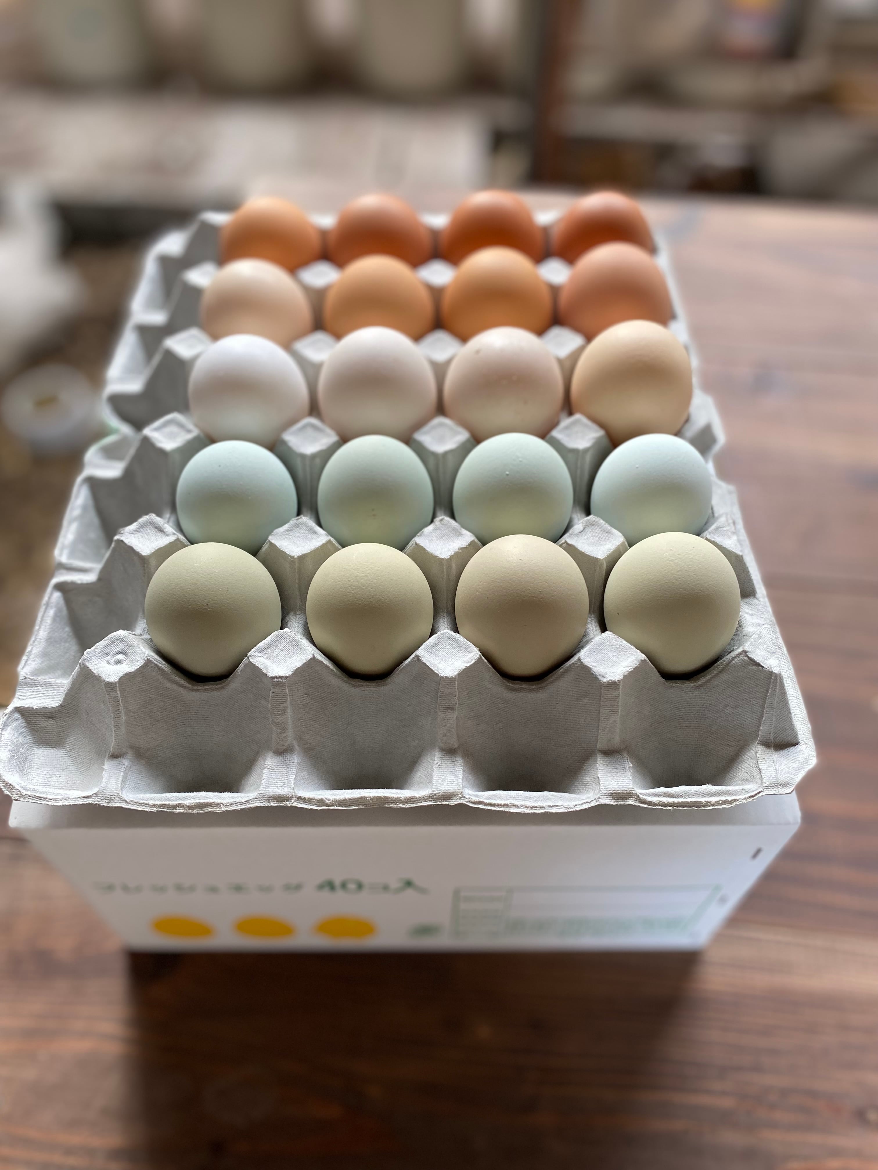 平飼い卵 30個 | Pay ID