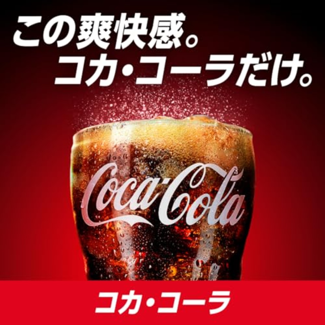 コカ・コーラ 500ml缶×24本