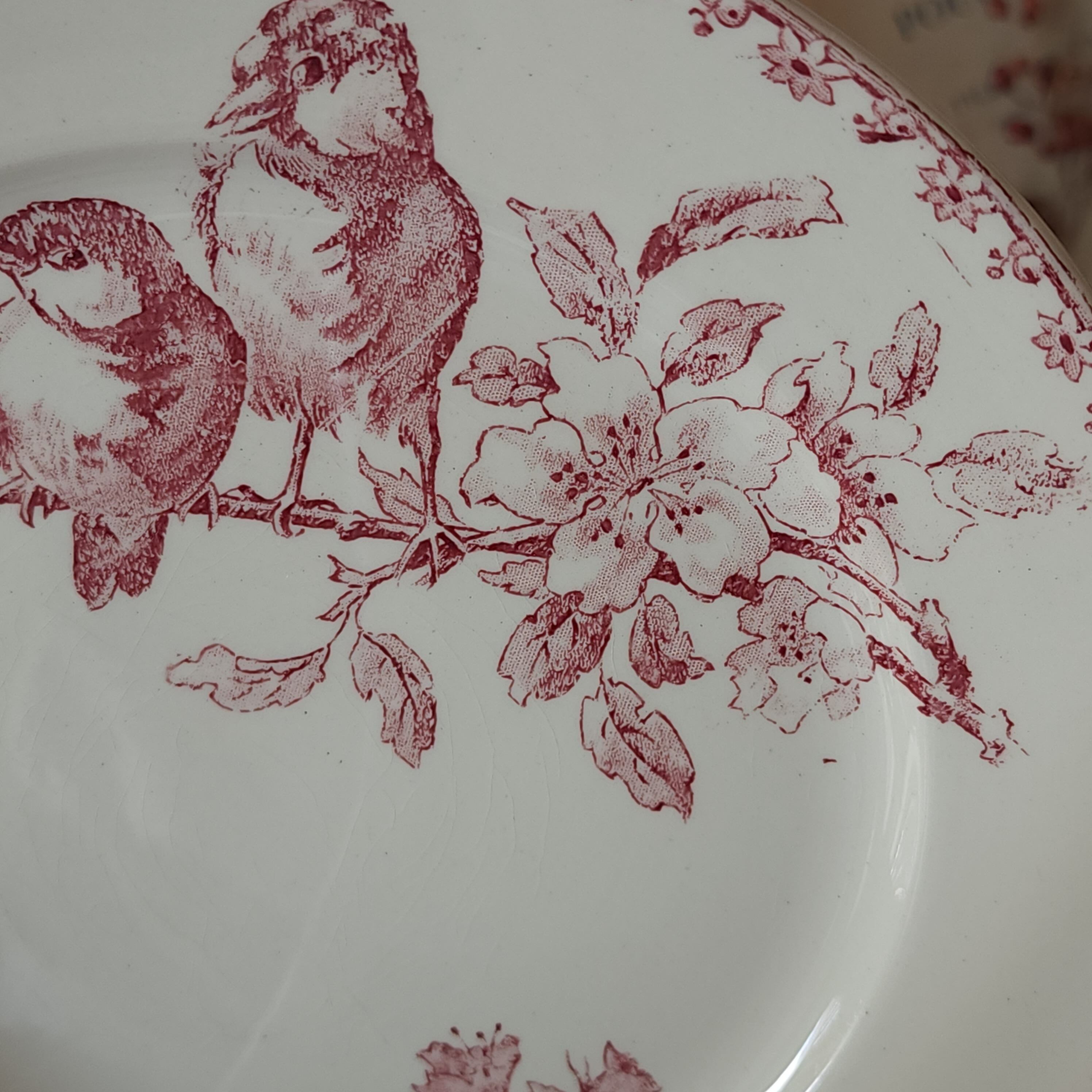 サルグミンヌ　FAVORI デザートプレート Sarreguemines サルグミンヌ デザートプレート / FAVORI #3 | デザート