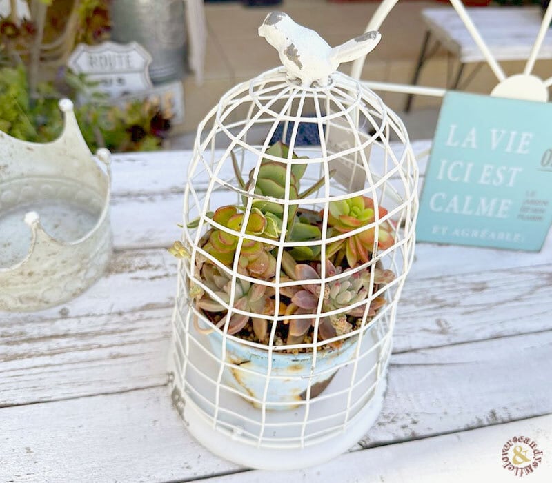 レゼル バードケージ / ガーデン雑貨 小鳥 ナチュラルアンティーク