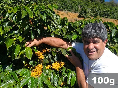 ブラジル | シティオ ・ダ・トーレ　イエローブルボン　ナチュラル | コーヒー豆100g