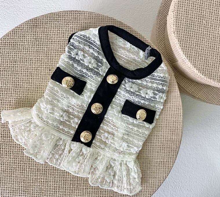 【SALE】cha see-through crop top XS ~ XL 2color / 犬服 春夏 新作 Tシャツ ドッグウェア ショート丈 シースルー 袖なし 小型犬 中型犬 クロップドトップス 涼しい お揃い シンプル