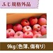 【りんご】ふじ 9kg【規格外品】
