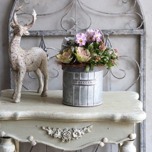 冬から春に楽しむ寄せ植え　ビオラティアードのピンクの小さなお正月　　お正月にオススメ　届いてすぐ玄関に飾れる 　プレゼントにもオススメ　