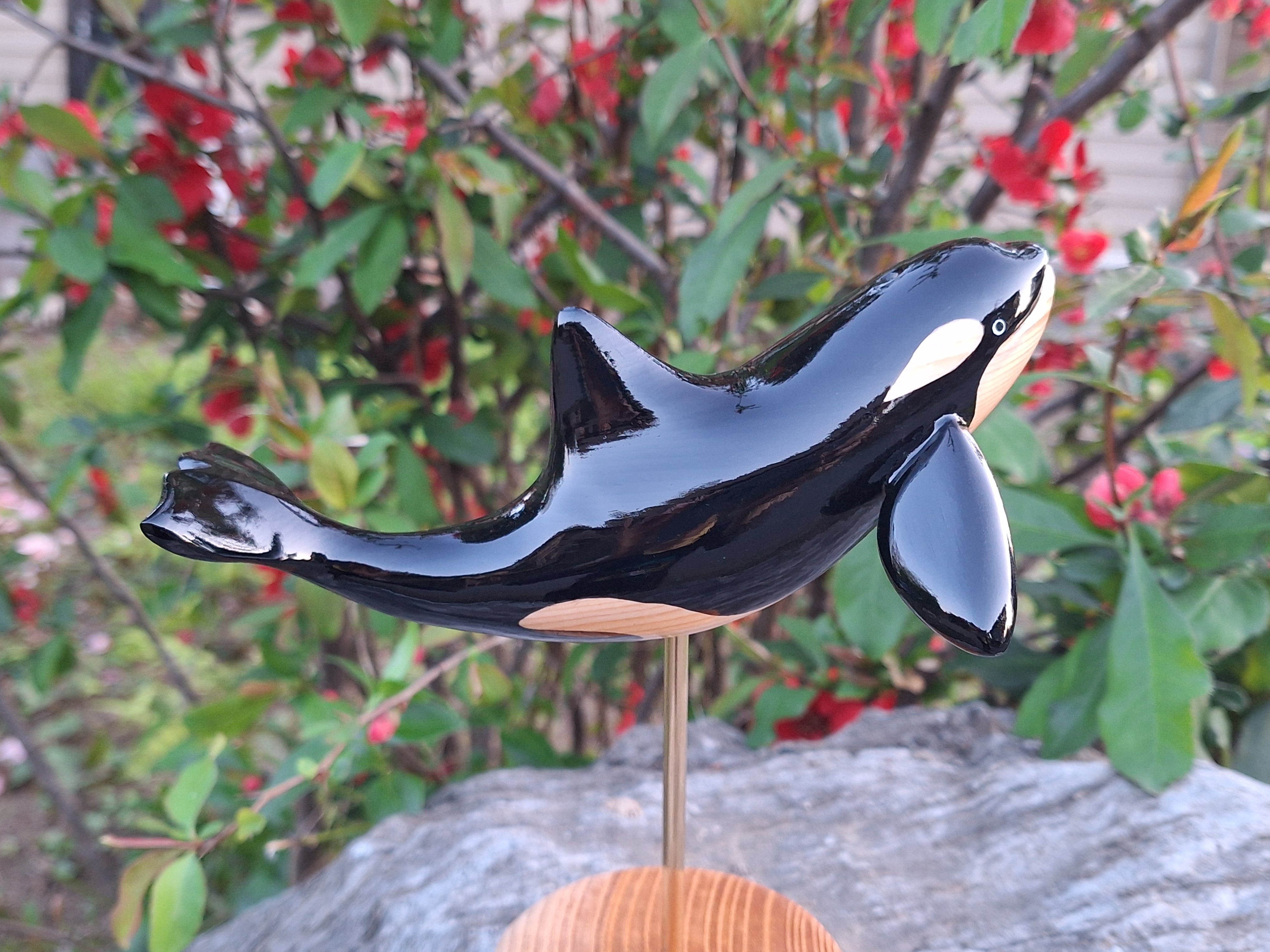 シャチ(スタンディング) orca | 工房西岡 woodcraft animals