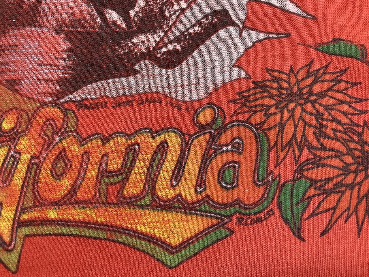 70s　California T-Shirts　Tシャツ