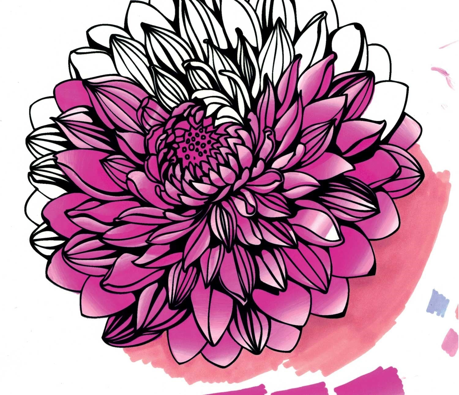 Chameleon Pen 5 Pen Floral Set (カメレオンペン 5本入りフローラル