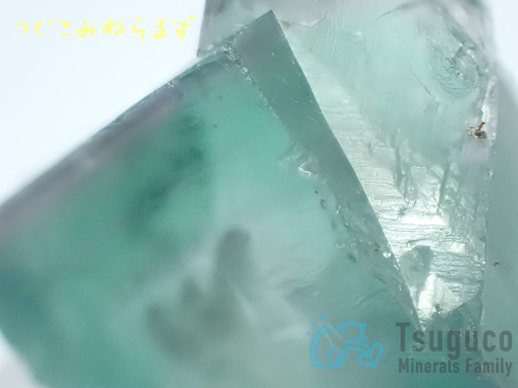 フローライト 蛍石 Fluorite イギリス TM-0030