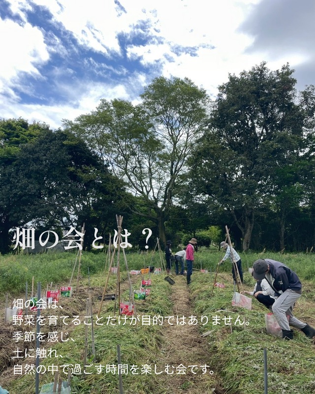 畑の会2026秋会員