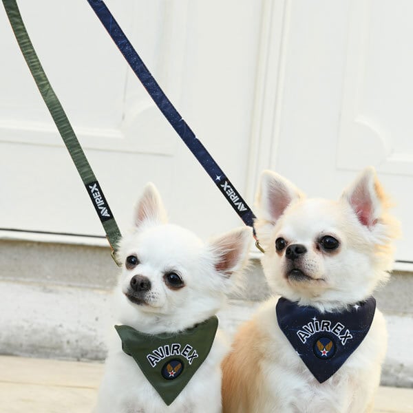 4a72a8978a7c73e1f95bec083745e5