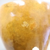 フラダンス イプ ひょうたん ブラウン系 楽器 小物 小道具 茶 艶 光沢 ケース セット 紐 タヒチアン レッスン 練習 ダンス小物 舞台 ステージ イベント 音楽 ハワイアン アロハ 花 プルメリア柄 青 白 ブルー系 ホワイト系