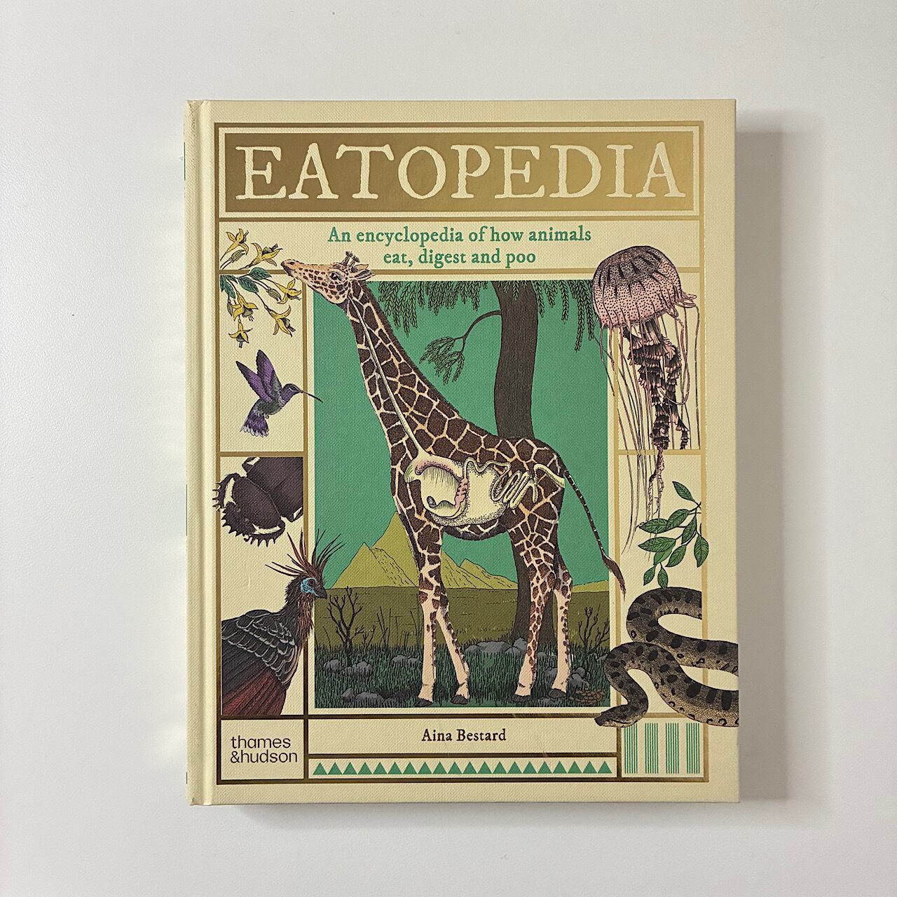 素敵な洋書の絵本のお店 Read Leaf Books