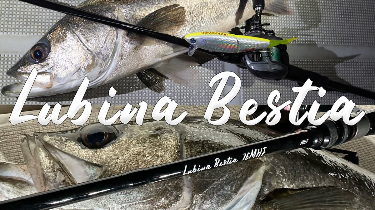AZORES AZORES-16000P SPOOL | オクマゼニス公式オンラインストア
