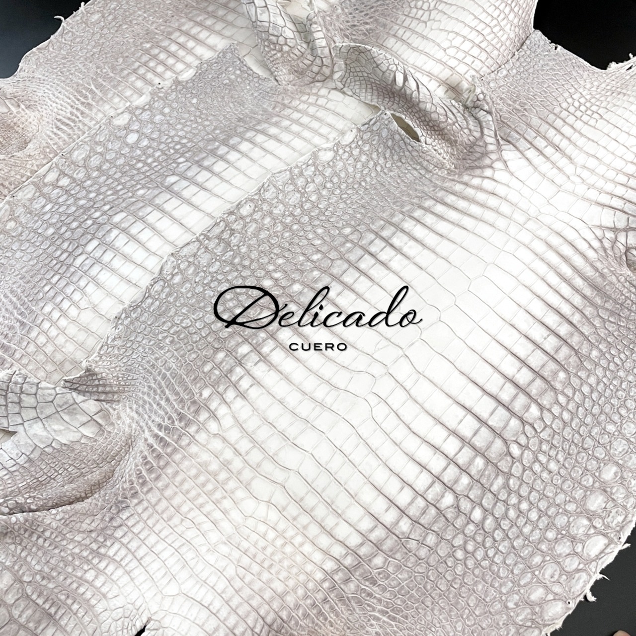 ヒマラヤ クロコダイル 無双 マネークリップ