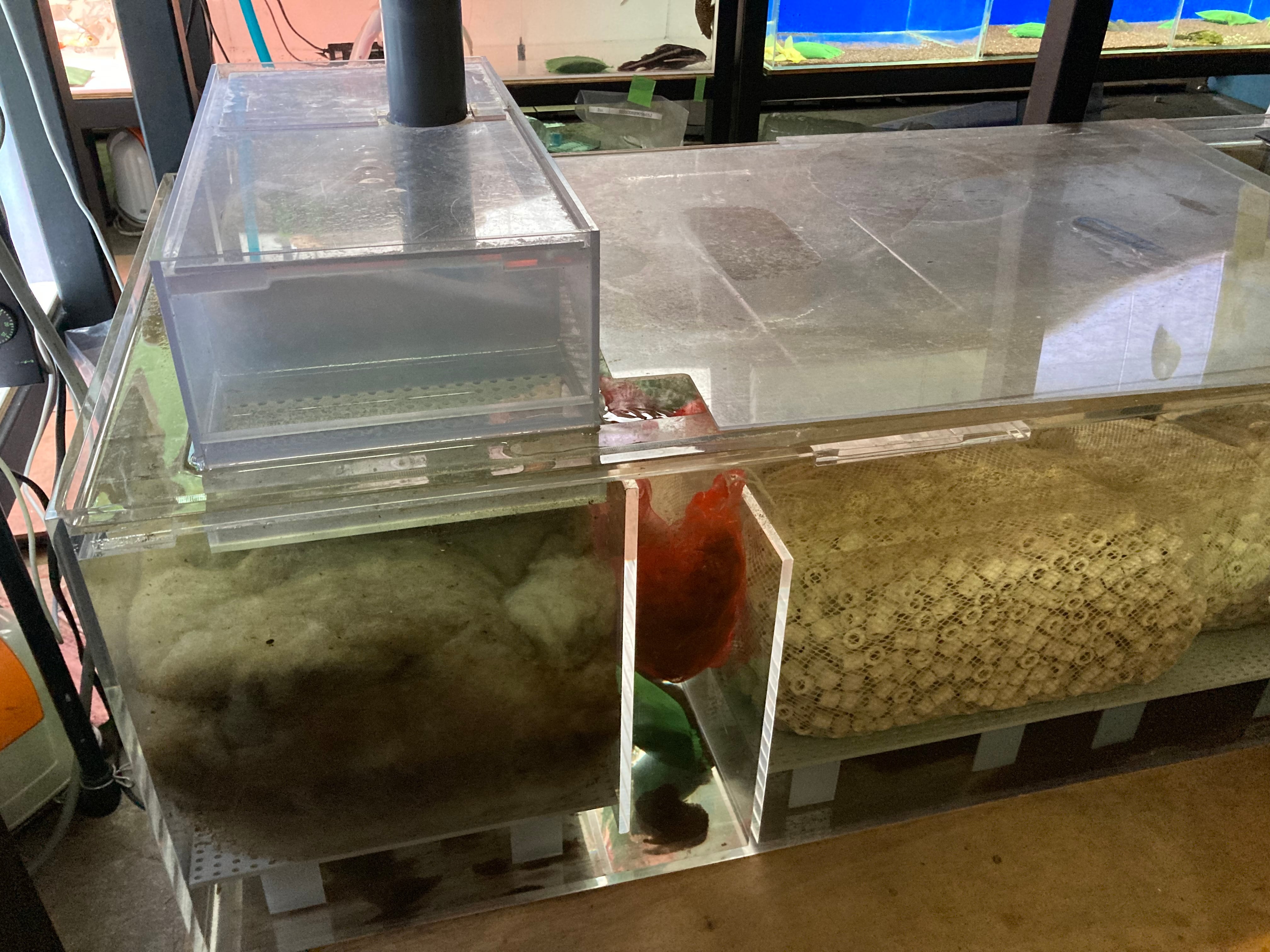 中古水槽 2000✖️900✖️600 カンテツ水槽セット | アクアショップ
