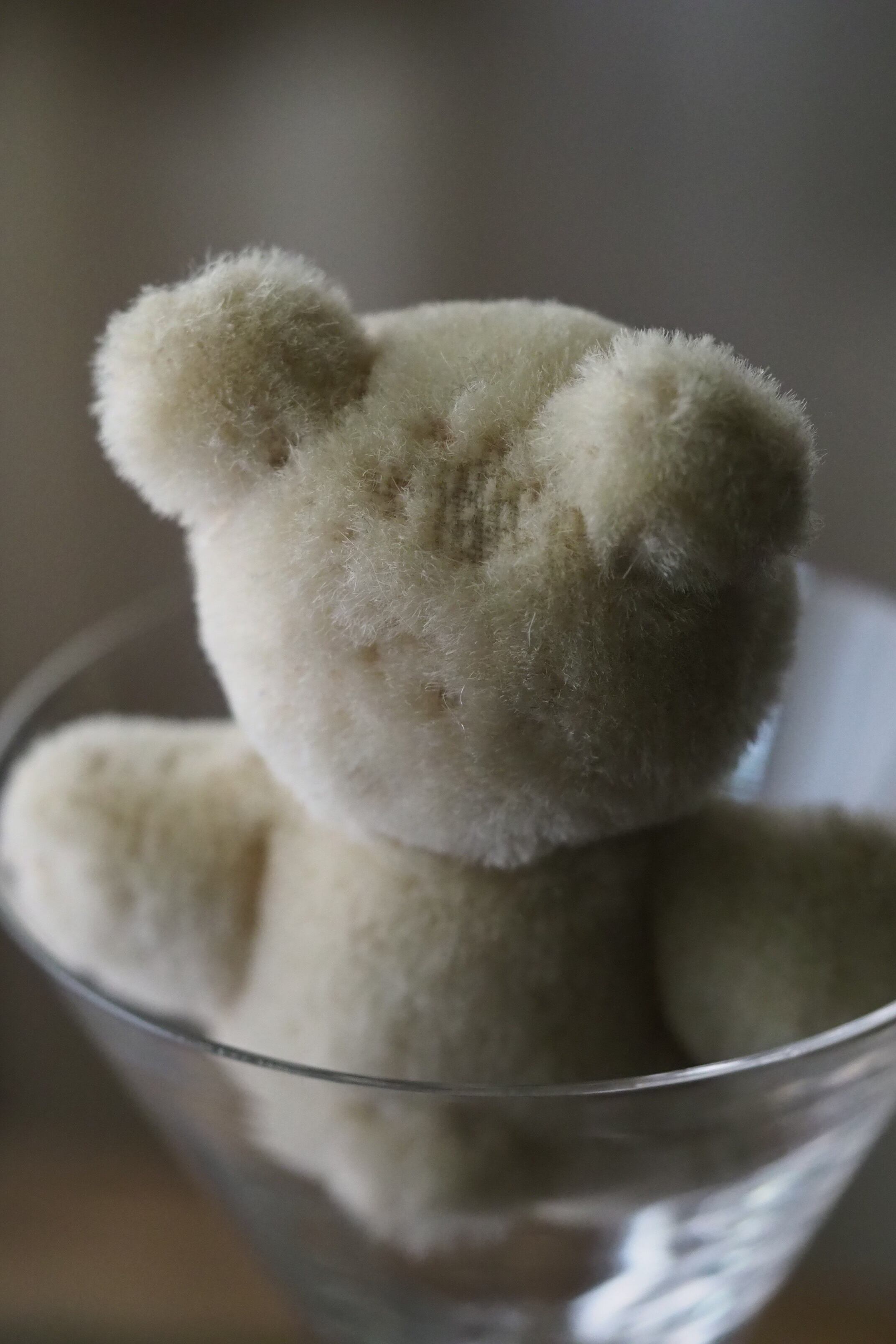 ミニマルなシロクマ-vintage teddy bear | アンティーク.ヴィンテージ