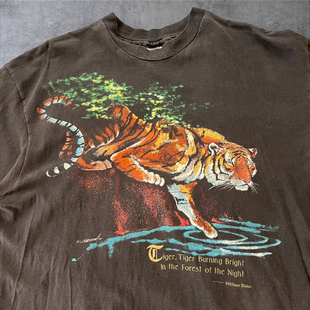 90s William Blake "The Tyger" Graphic Tee Hanes Beefy-T USA