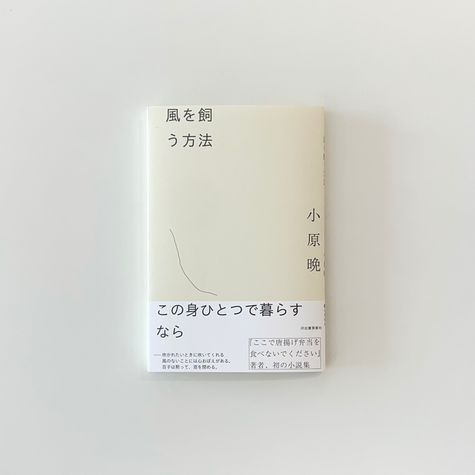 値下げ交渉可能　ブルーマリッジ、星の教室 新品サイン本 ブルーマリッジ』サイン本が置かれるであろうお店｜カツセマサヒコ