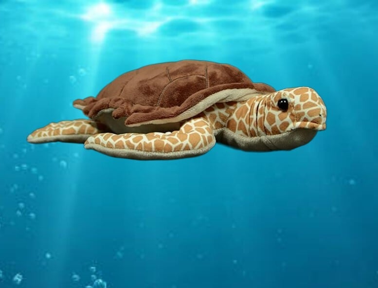 ☆ウミガメ☆ ぬいぐるみ・ | ぬいぐるみ専門店 くろにゃん