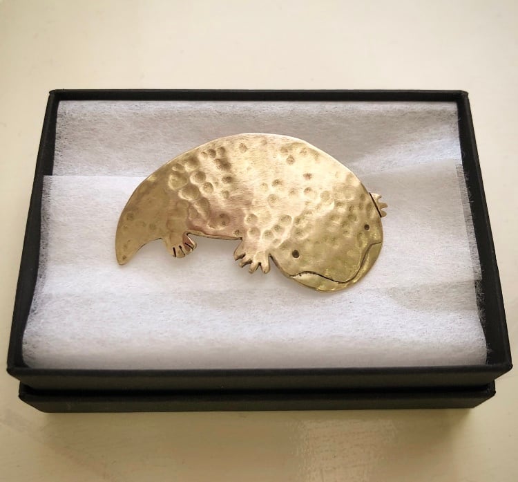 オオサンショウウオのブローチ | 富永大士 ＋ アウラ・ロコ / aura.loco