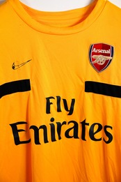 Arsenal Sleeveless Training Shirt