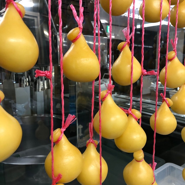 はい チーズ 自家製チーズ4種類5個セット 冷蔵商品 八ヶ岳チーズケーキ工房 はい チーズ 自家製チーズ4種類5個セット 冷蔵商品 八ヶ岳チーズケーキ工房