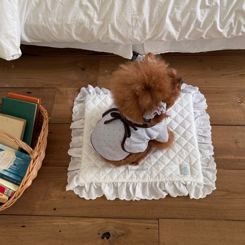 DOG WEAR | LUANA DOG