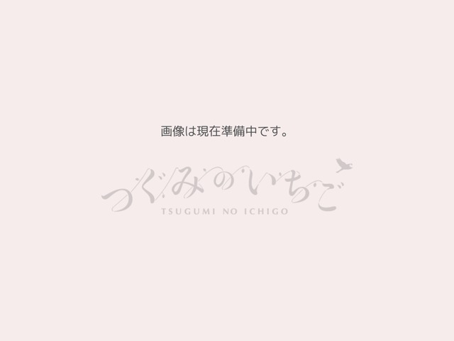 【萩原いちご農園［奈良］】古都華（ことか） 15玉 4ケース入▶︎送料込◀︎