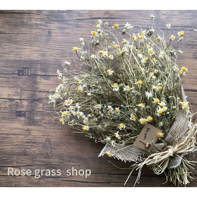 Rose Grass