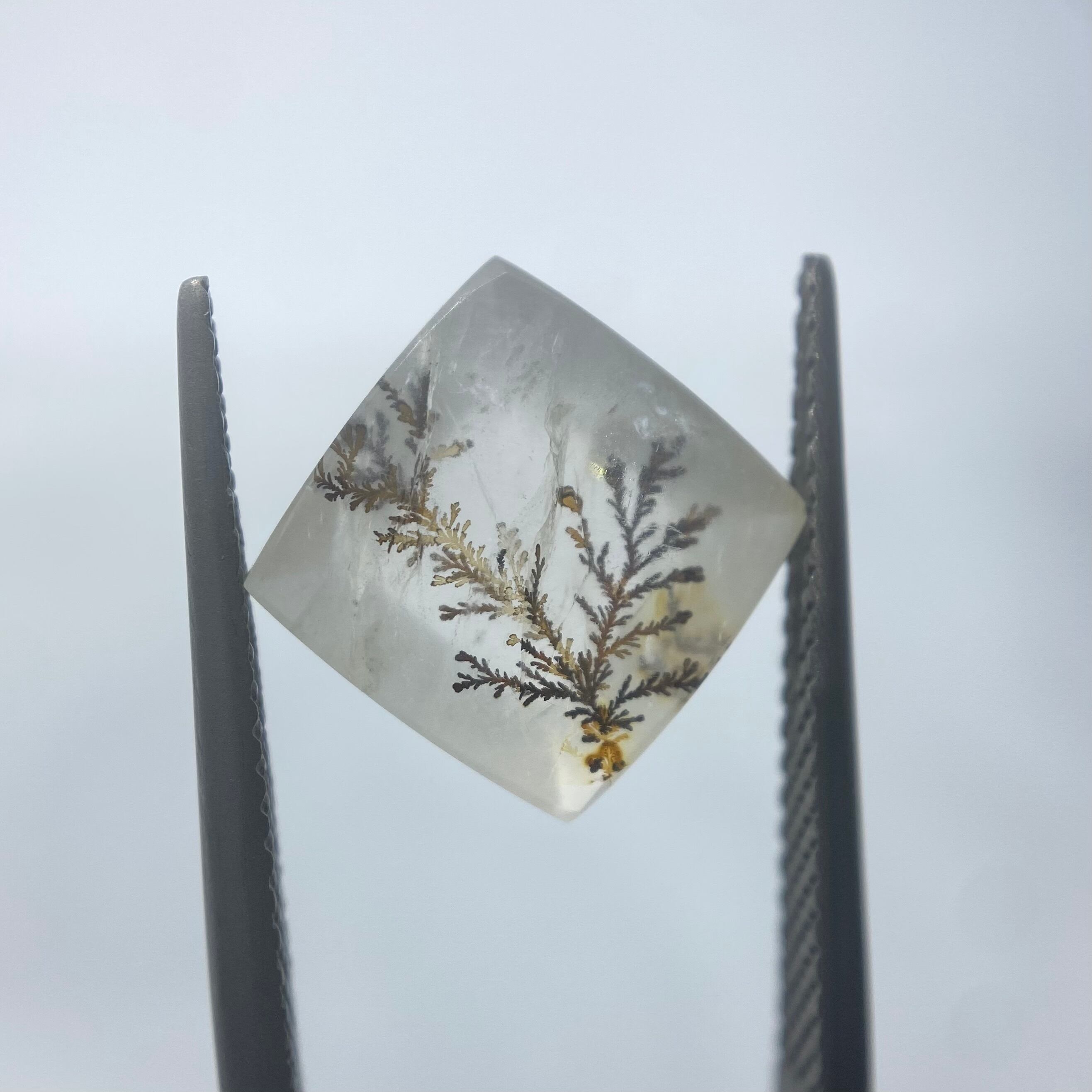 インスタライブでご紹介　デンドリティッククオーツ