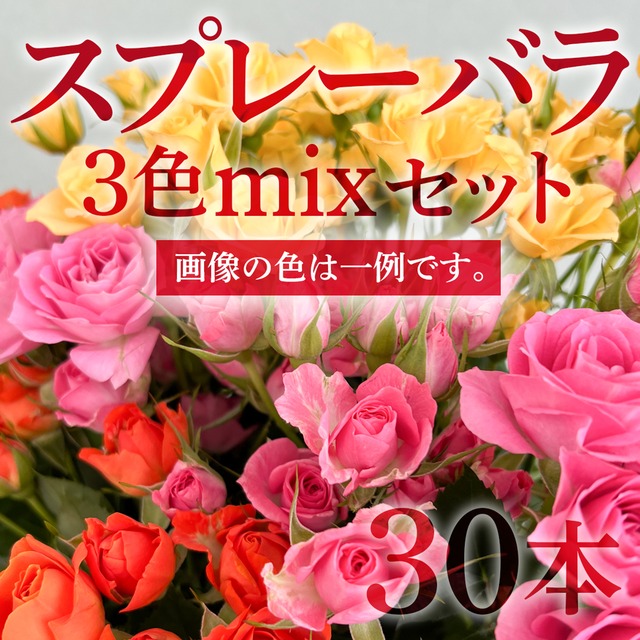 スプレーバラ 30本（3色mixセット）【可憐なスプレー咲き♡ローズ】★フラワーロス支援