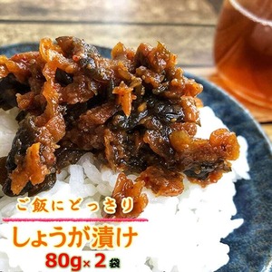 山形県産　山形の漬物　どっさりしょうがみそ漬け　８０g×２袋　送料無料　メール便