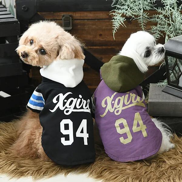 BowHOUSE -犬服 アウトレット専門店-