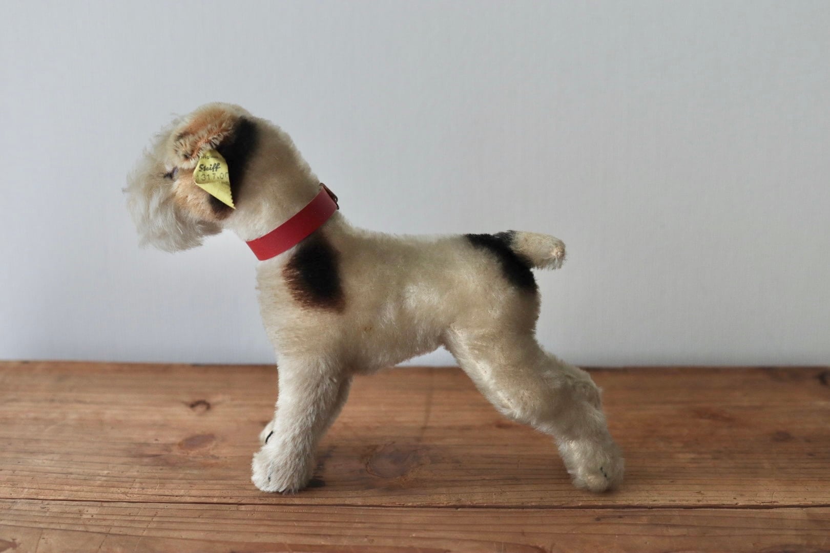 アンティーク シュタイフ 犬 ワイヤーフォックステリア Foxy 17㎝