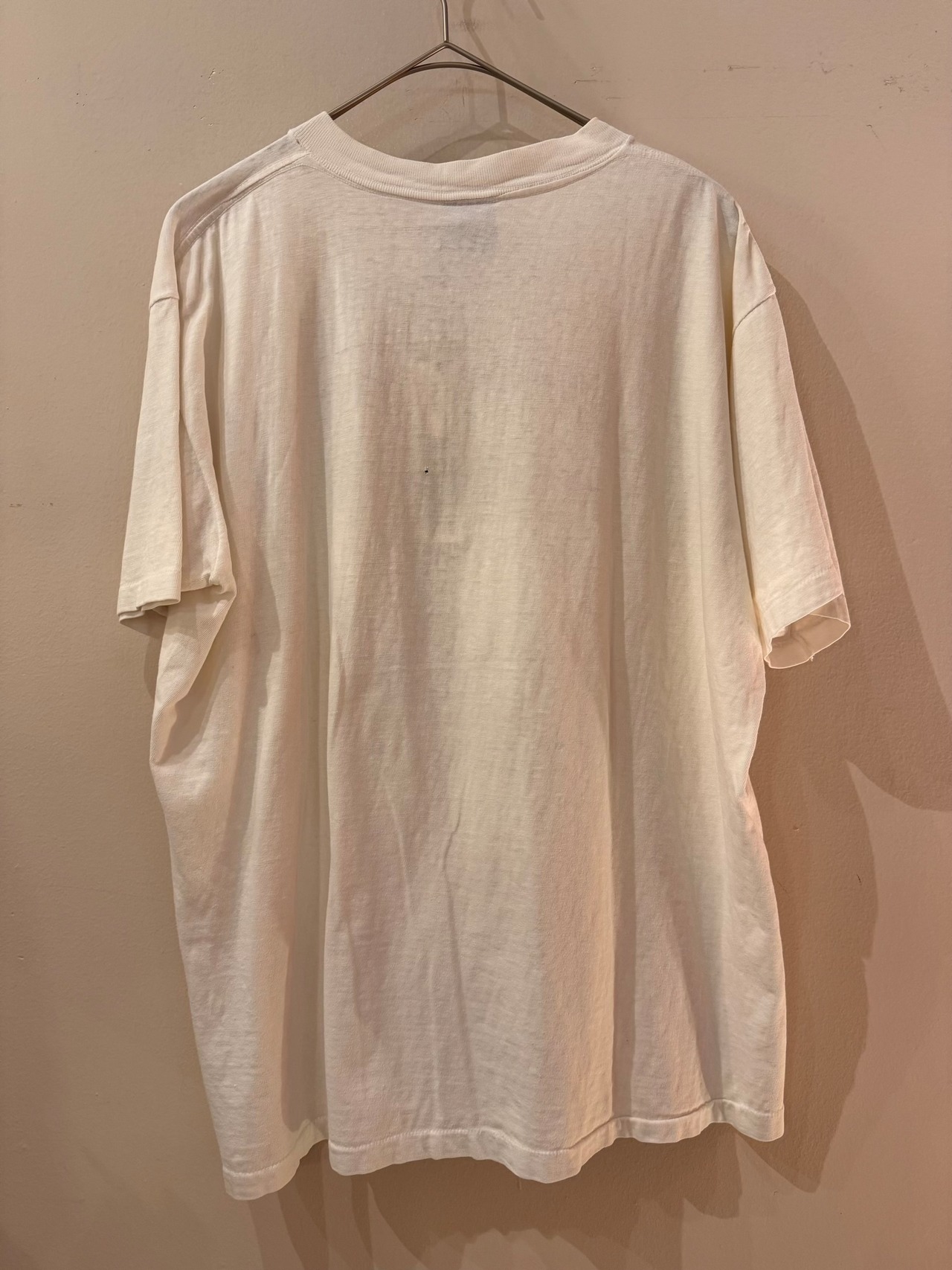 1990's International Trans-Antarctica Expedition Tシャツ