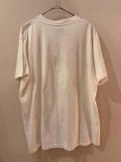 1990's International Trans-Antarctica Expedition Tシャツ