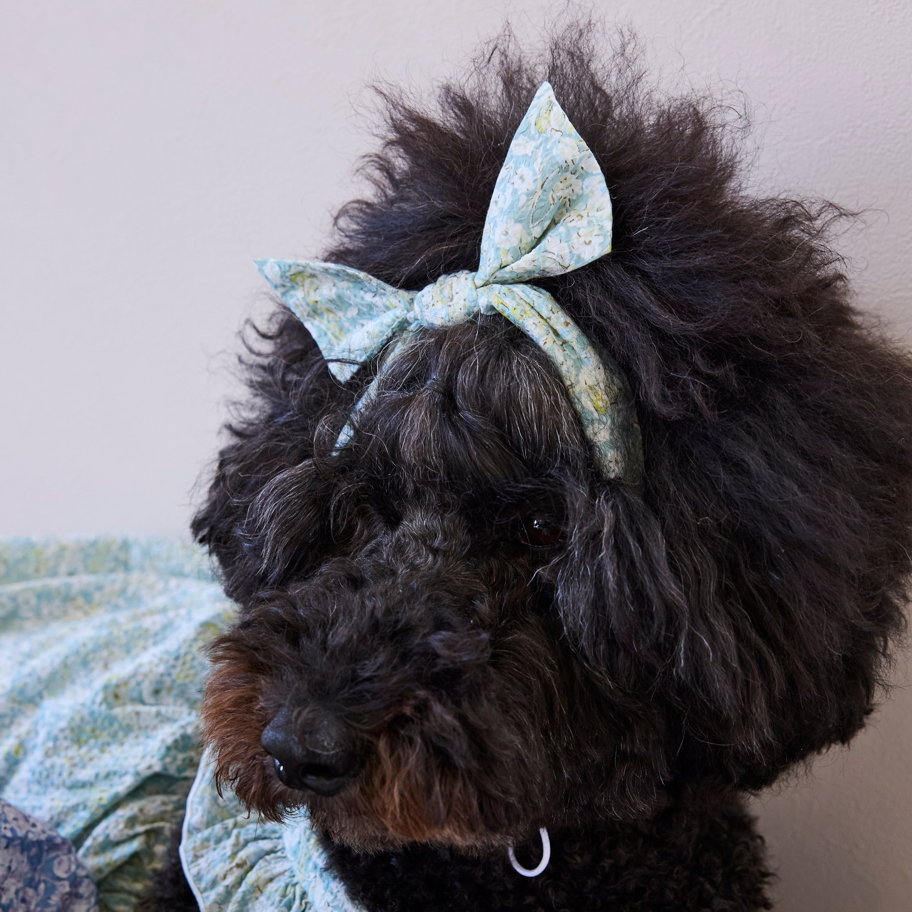 251112］リバティプリントリボン型ヘアバンド | 犬服ブランド 2e