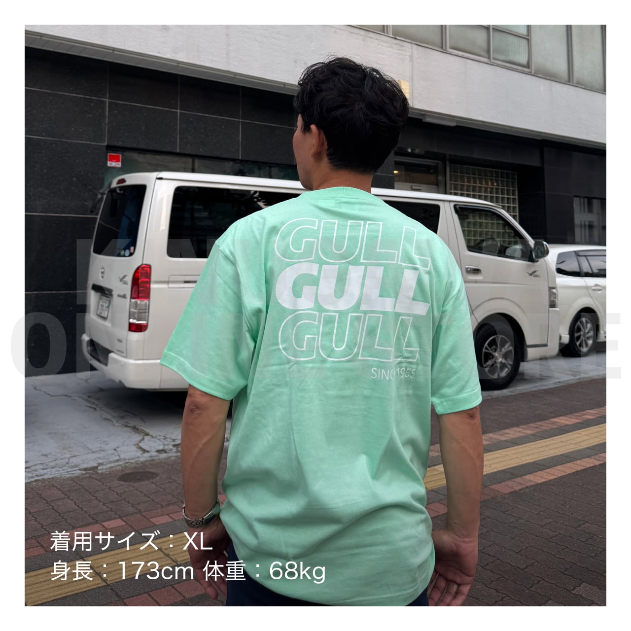 【OnlineStore限定】GULL デザインTシャツ(Tri-GULL)″ メロン ”