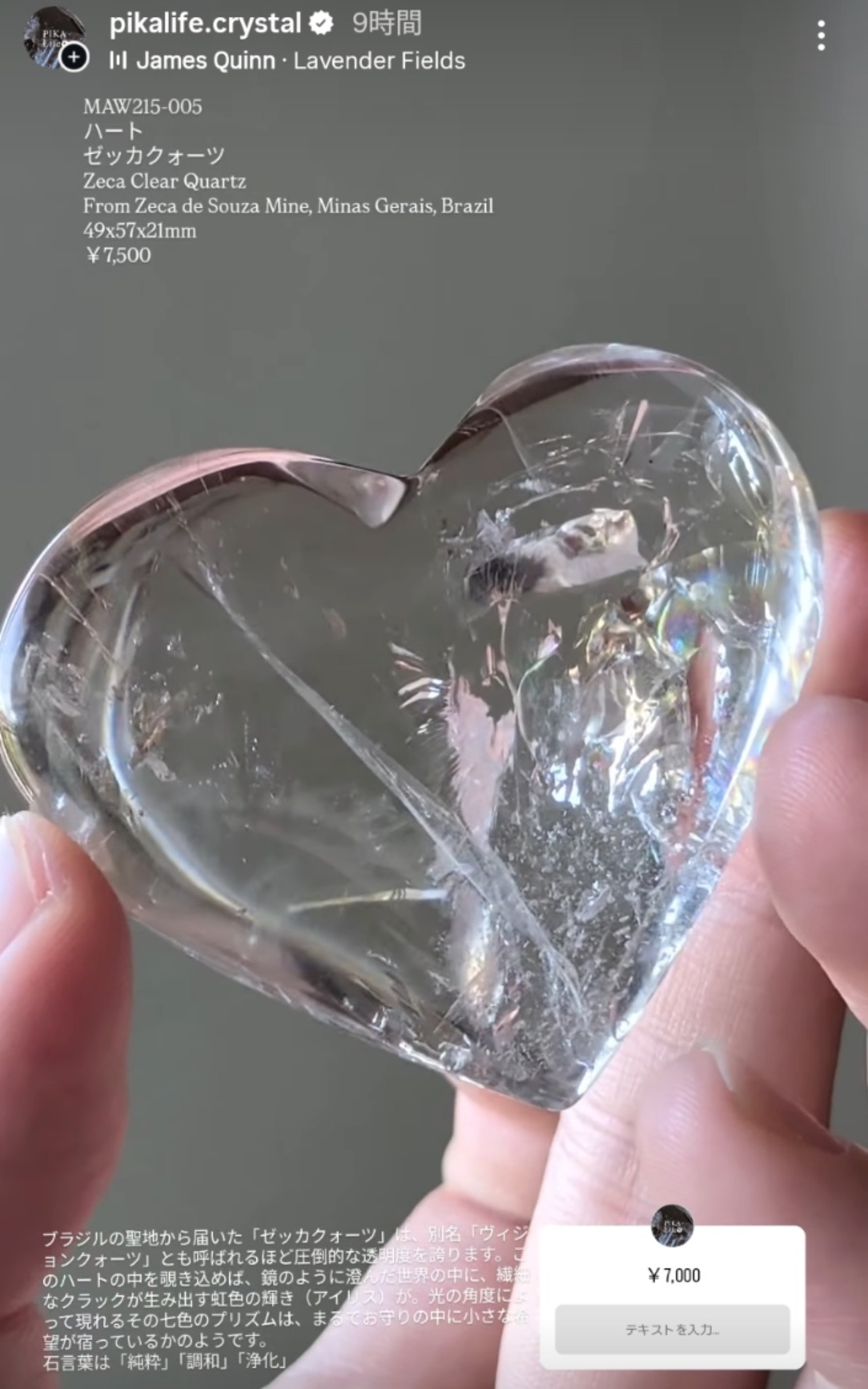 ⭔ お客様専用ページ ⭔ lintukoto0801様　