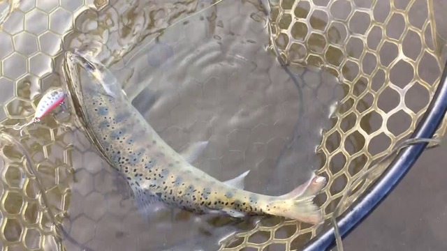 パックロッド 6フィート／1.8m セパレートグリップ 機内持込み 渓流 管 